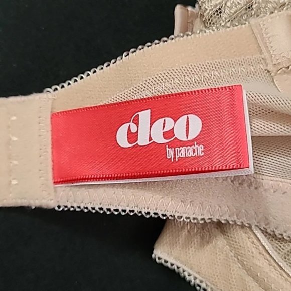 Cleo by Panache 'Asher' Bra 34DD Underwire Balconette  NWT! - Picture 12 of 16